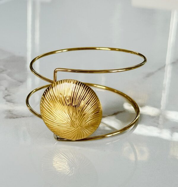 “Geographic Shell” - Image 2