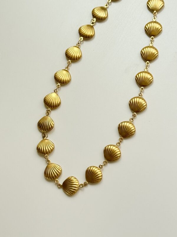 "Clam Shell” - Image 3