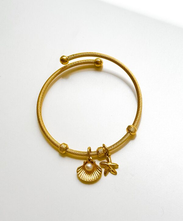 “Shell & Starfish”