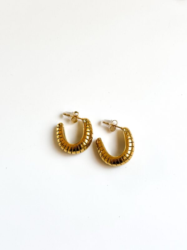 “Bee Hoops”