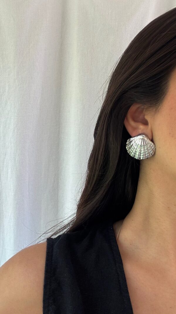 “Silver Shells” - Image 2