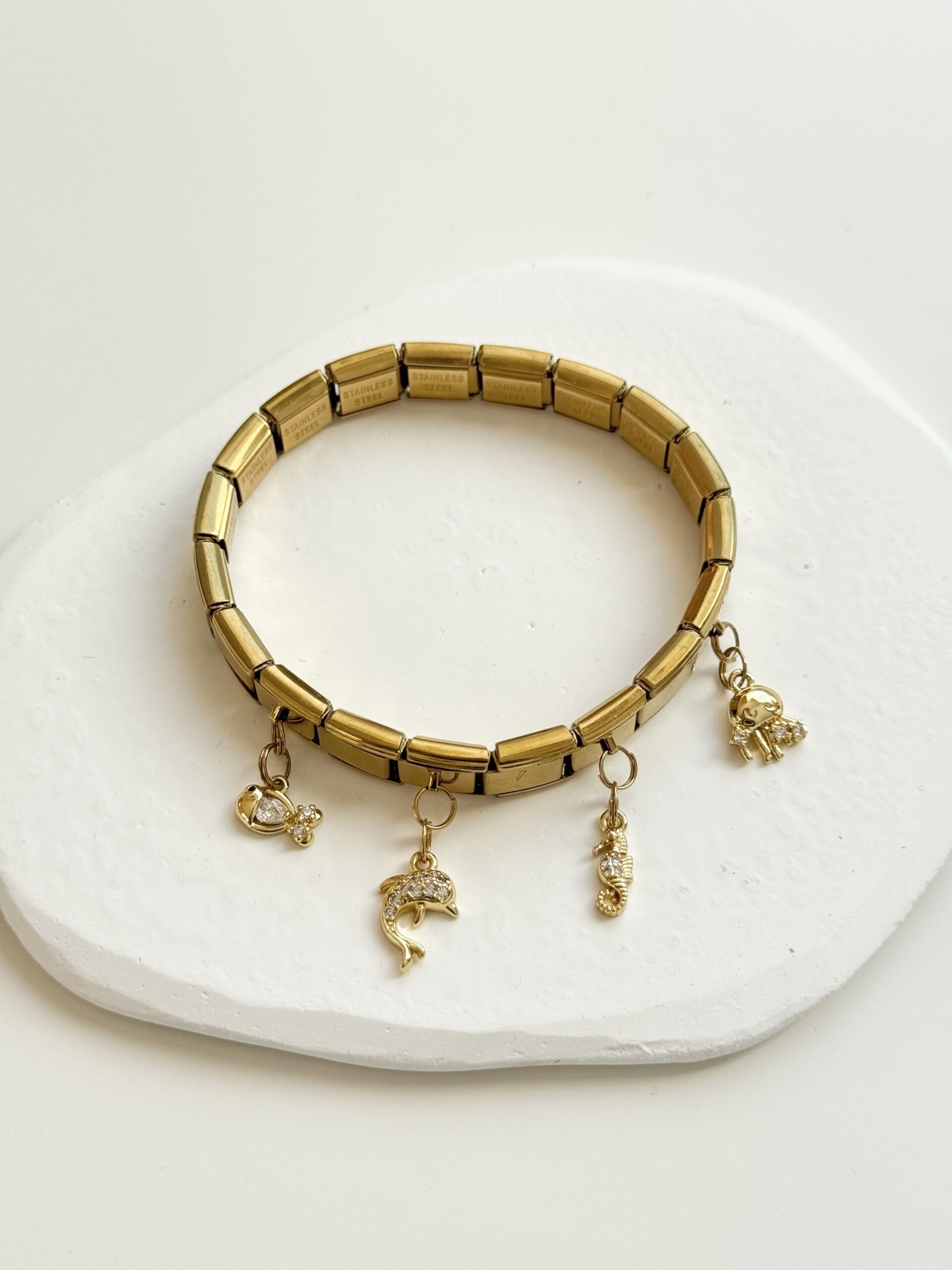 “Dolphin Charm”